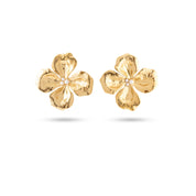 Boucles dorées CALIOPE - Bijou photographié sur fond blanc