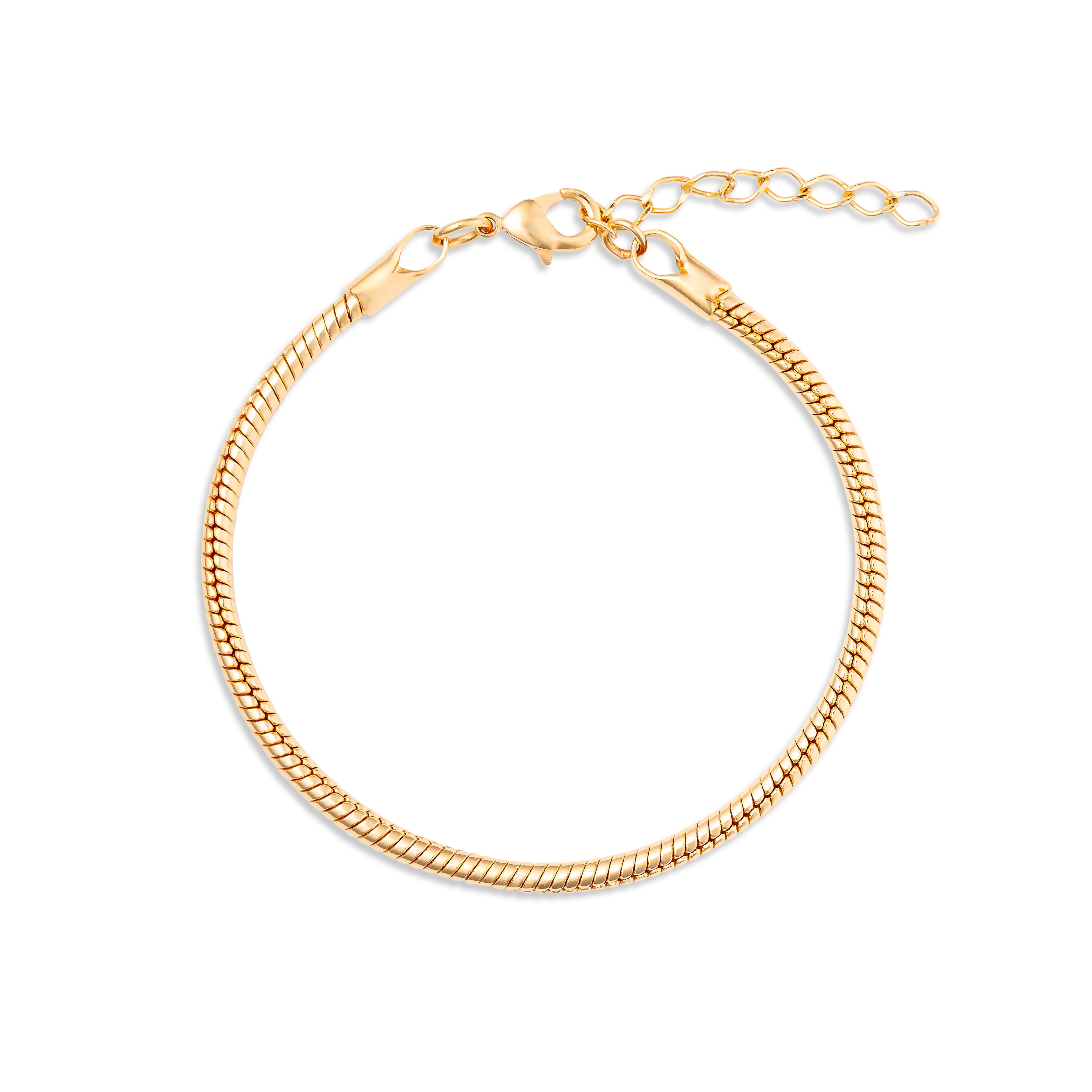 Bracelet doré chaîne serpent Flaviena - Bijou photographié sur fond blanc