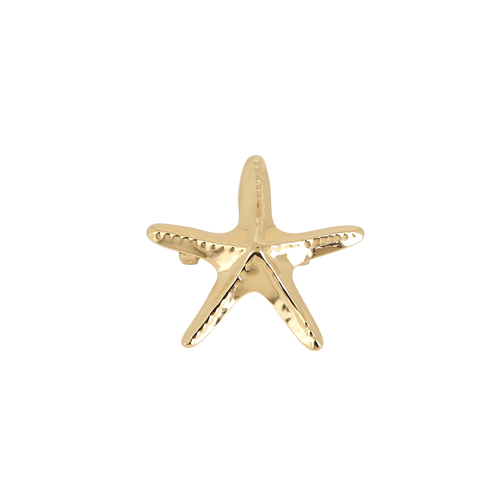 Broche dorée étoile de mer Ainoa - Accessoire