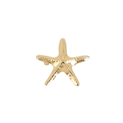 Broche dorée étoile de mer Ainoa - Accessoire