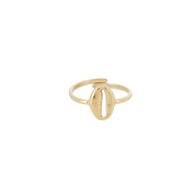 Bague dorée Cauri ajustable à motif coquillage cauri - Bijou sur fond blanc