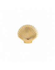 Bague dorée Shell ajustable ornée d'un coquillage - Bijou sur fond blanc