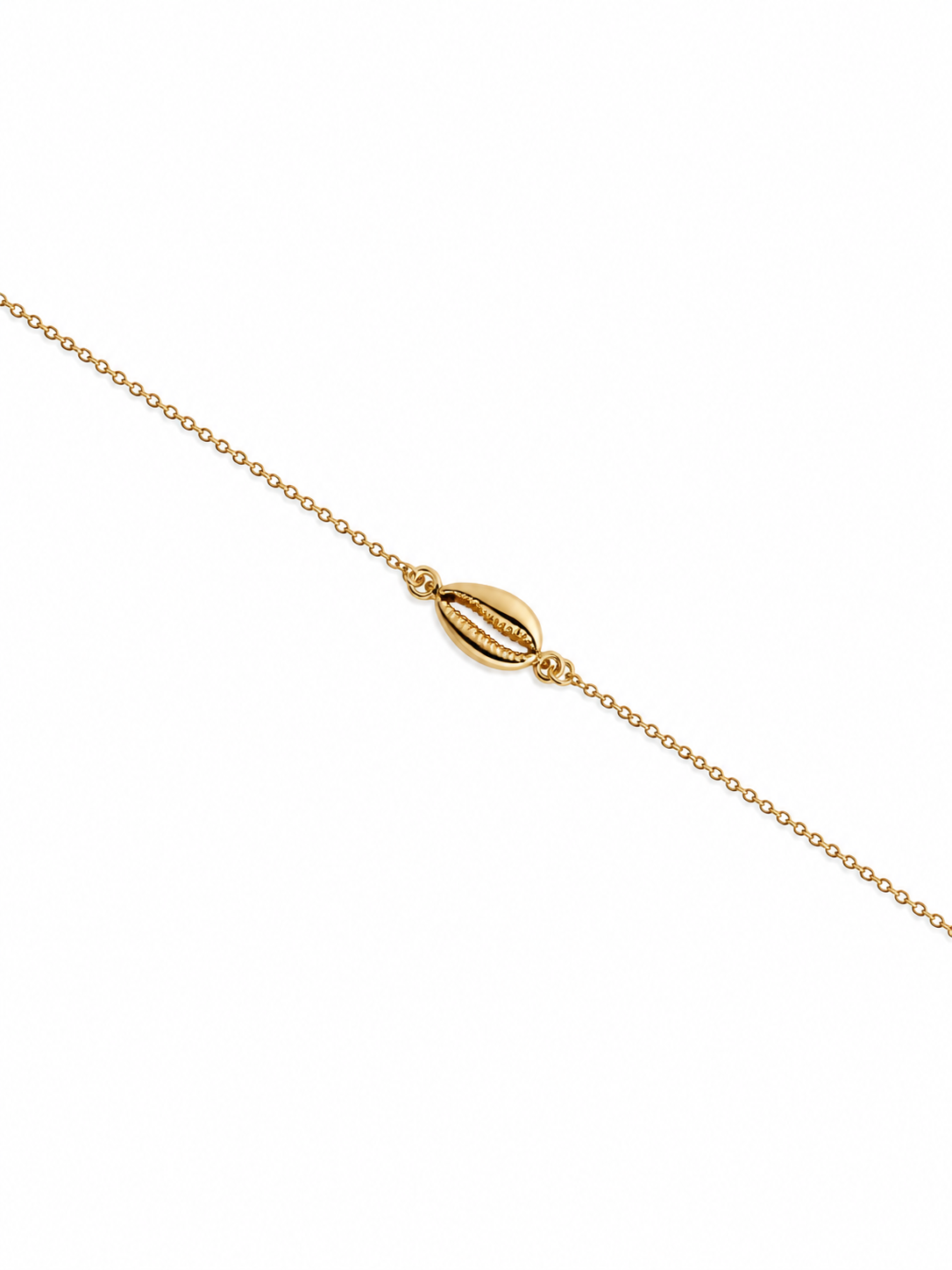 Bracelet fin doré Noella orné d'un coquillage cauri - Bijou sur fond blanc