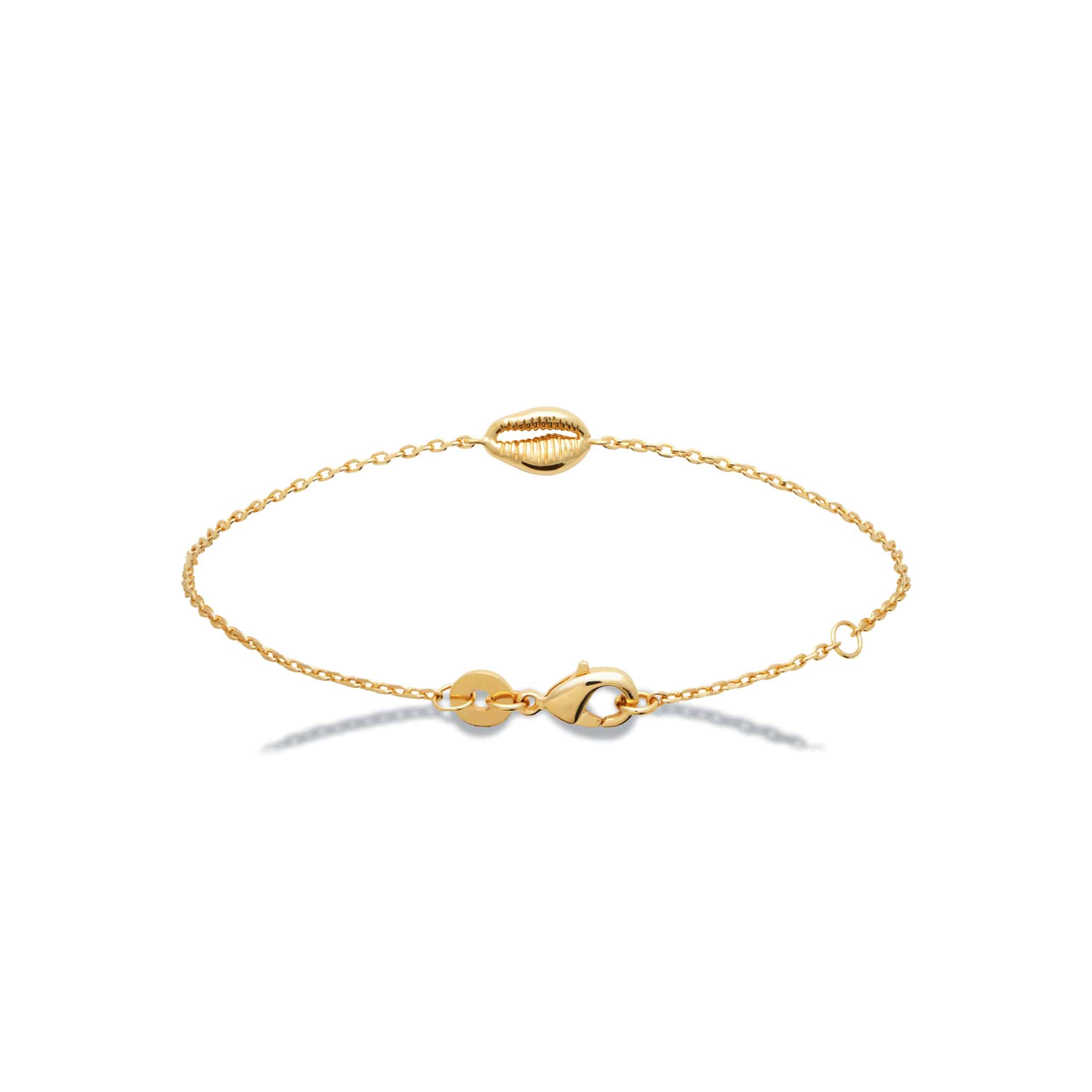 Bracelet Cauri doré coquillage - Bijou photographié sur fond blanc