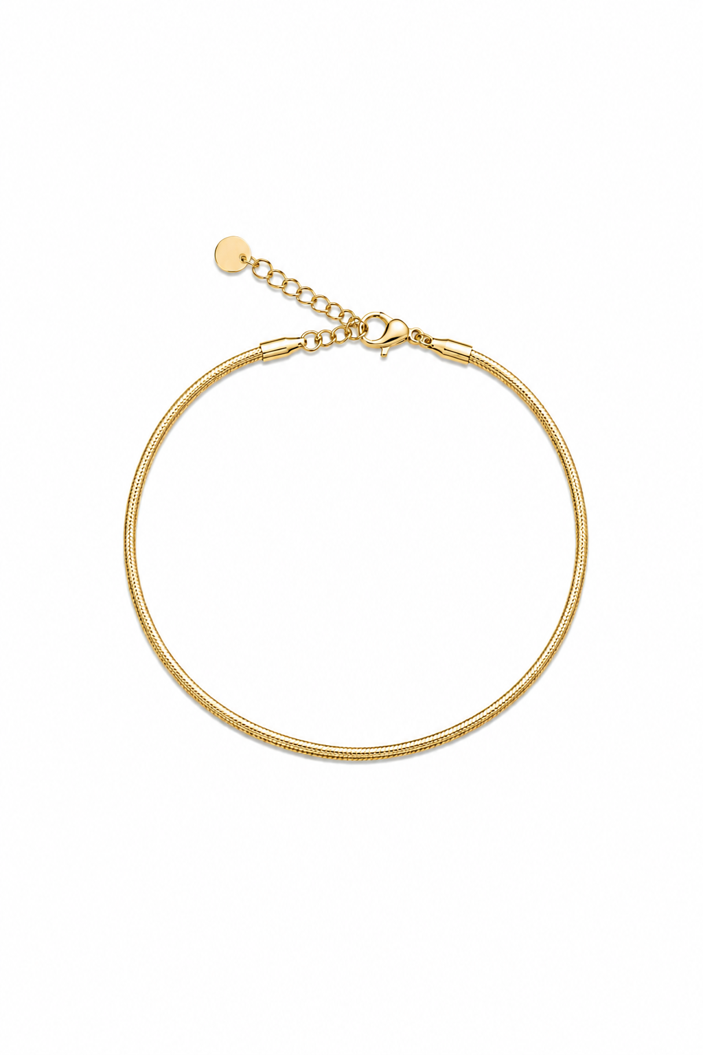 Chaîne de cheville dorée Miroir S chaîne plate fine - Bijou sur fond blanc