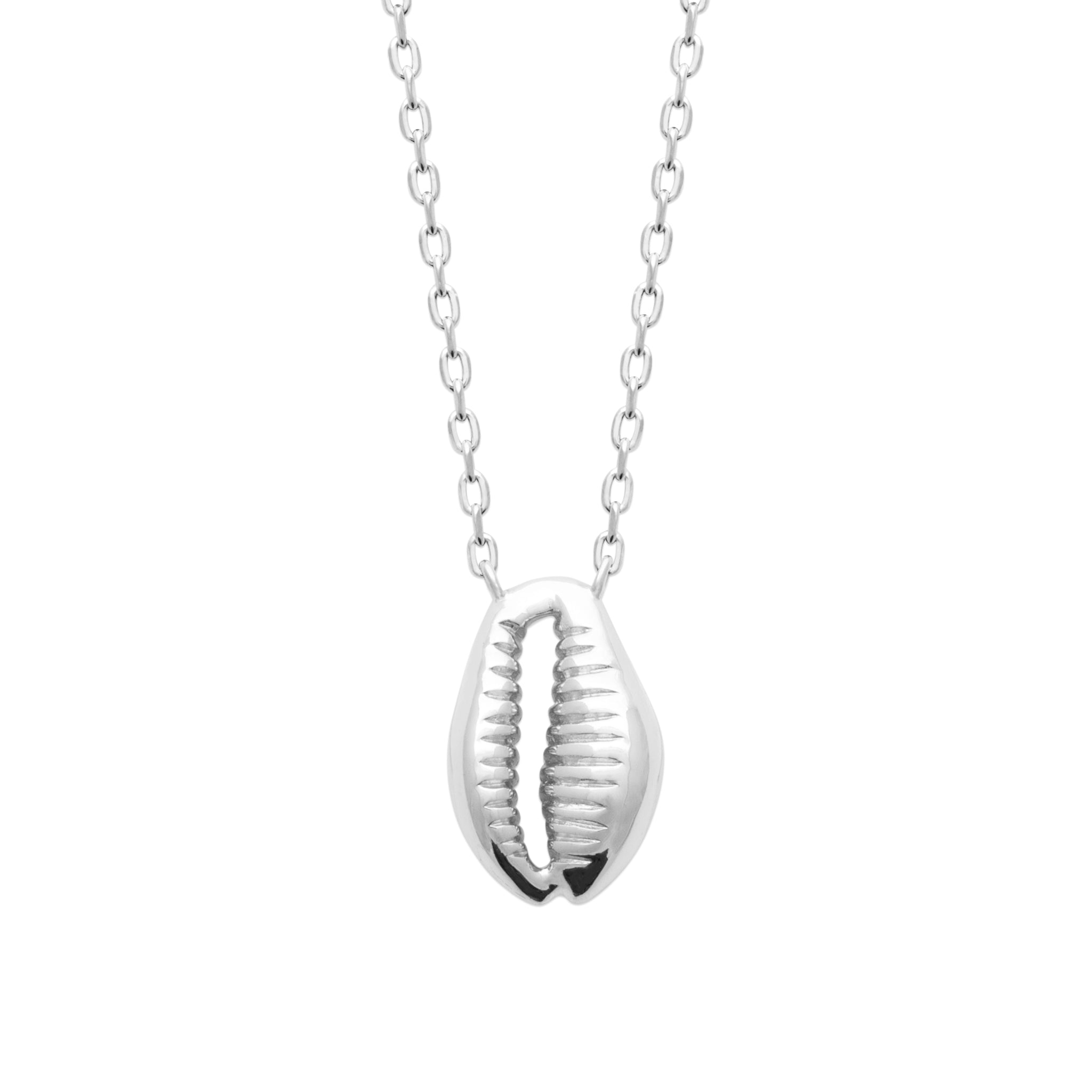 Collier argent Cauri pendentif coquillage - Bijou photographié sur fond blanc