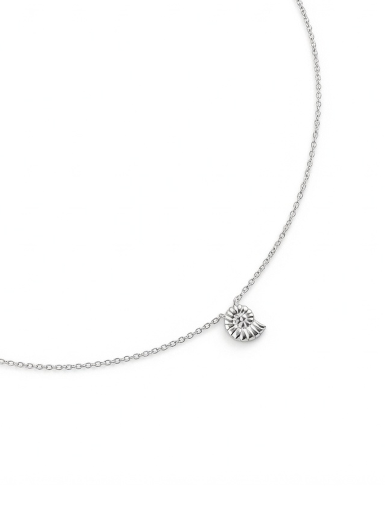 Collier argenté Saona chaîne fine avec pendentif coquillage - Bijou sur fond blanc
