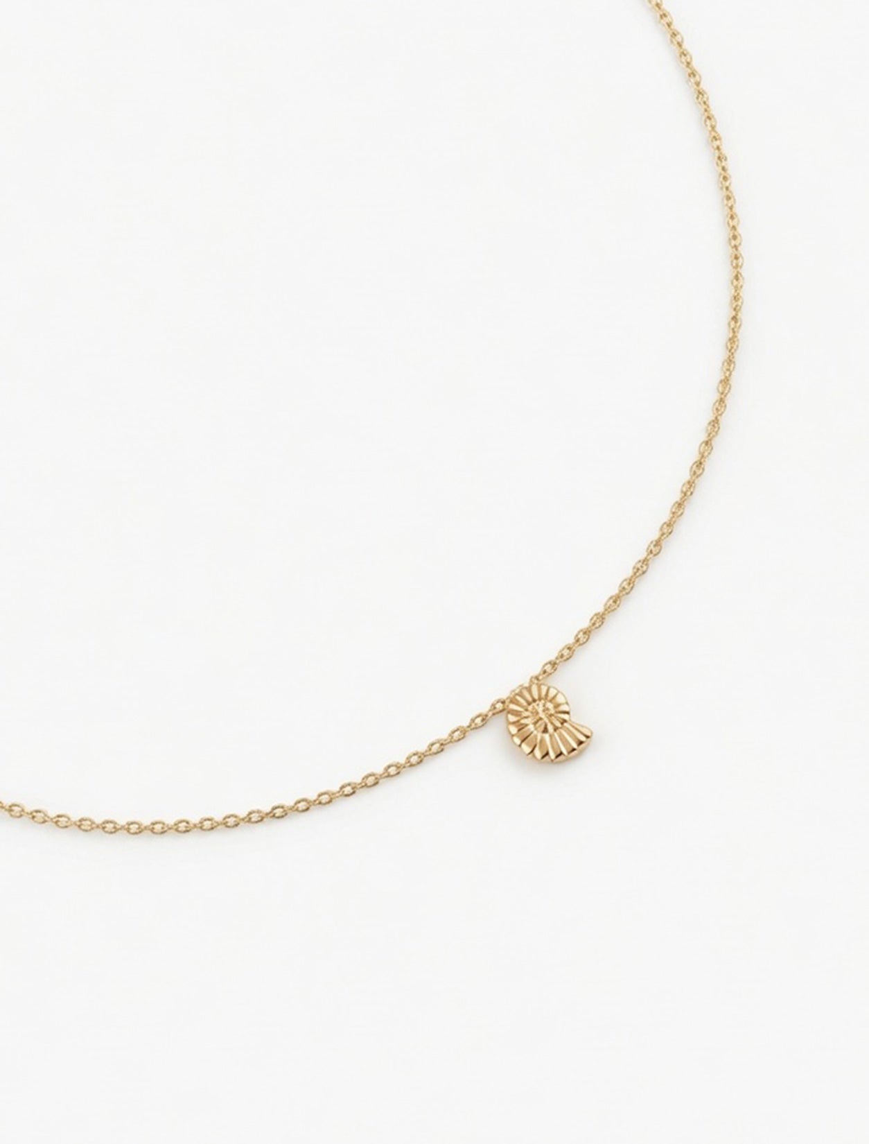 Collier doré Saona chaîne fine avec pendentif coquillage - Bijou sur fond blanc

