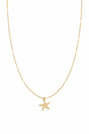 Collier doré étoile de mer Hilona - Bijou sur fond blanc