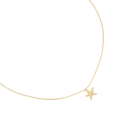 Collier acier inoxydable doré étoile de mer Naza - Bijou photographié sur fond blanc